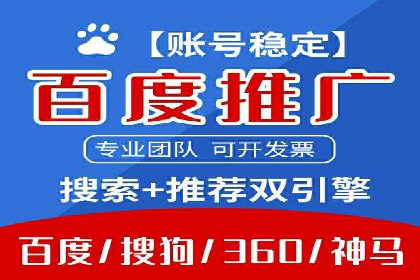 SEM托管公司案例分析：实战技巧全解析
