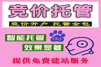 某知名企业SEM专员的成长之路